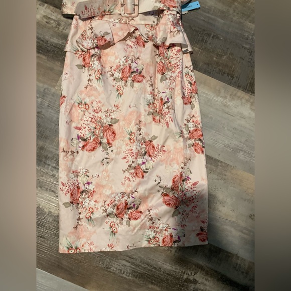 NWT Antonio Melani size 8 pink beige green sleeveless belted dress. - Picture 3 of 9